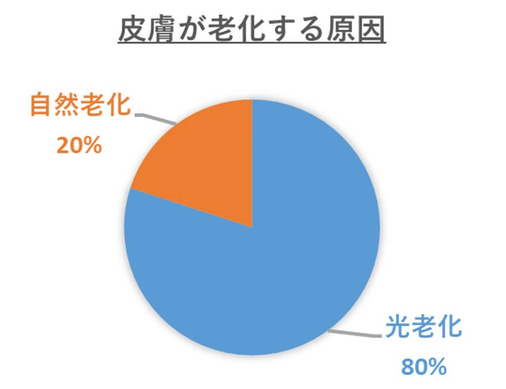 皮膚が老化する原因の図解